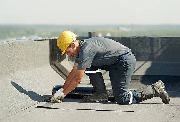 Best Insulation Maintenance and Repair in Palm Beach Shores, FL